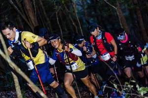 BIB: 2571, 
                            <button type="button" onclick="openModal(19040316)" class="btn btn-primary btn-sm float-right btn-popup" data-toggle="modal" data-target=".modal-high-quality">
                        <i class="fas fa-shopping-cart"></i> Add to Cart
                    </button>
                                            <button type="button" onclick="isThisMe(19040316, true)" class="btn btn-success btn-sm float-right btn-popup btn-isme hidden" data-toggle="tooltip" data-placement="bottom" title="นี่คือรูปของคุณใช่ไหม คลิกที่นี่เพื่อเอาเข้าอัลบั้ม">
                        <i class="fas fa-plus"></i> Add to album
                    </button>
                    <button type="button" onclick="isThisMe(19040316, false)" class="btn btn-warning btn-sm float-right btn-popup btn-isnotme hidden">
                        <i class="fas fa-ban"></i> Remove from album
                    </button>